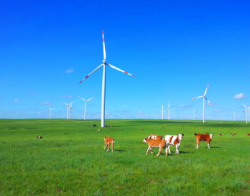 中标 | 清洁能源内蒙古分公司中标上海庙特高压巴彦淖尔400MW<em>风电基地项目</em>
