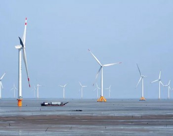 全球首个极地商业化海上风电场，<em>零补贴</em>！
