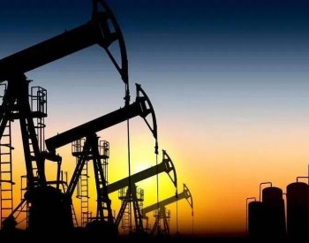 国内首个石油勘探开发领域实施的<em>混合所有制改革</em>项目在山东东营市完成注册