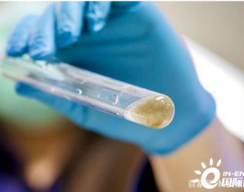 嗜食<em>污泥</em>的耐盐细菌可用于制造生物降解塑料