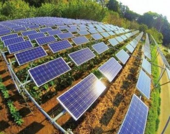 朝鲜：去年一年<em>太阳能发电能力</em>增加约86%