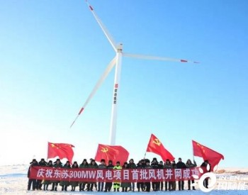 <em>蒙能集团</em>装机容量最大新能源项目首批风机并网成功