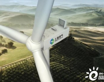2020-2021<em>上海电气风电集团</em>国际发展先锋案例研究