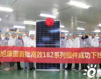 東旭康圖首批182<em>半片</em>組件成功下線