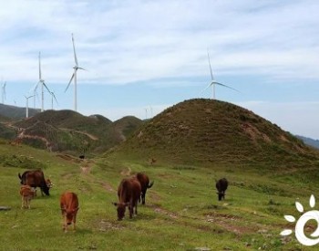 机构预测中国<em>风机价格</em>再降逾10%，进一步下降到单位千瓦2500元以下