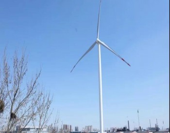 绿电如何助力企业碳中和？金风售电给你支几招！