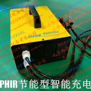 SAPHIR智能充电机EV48-30锂电池专用