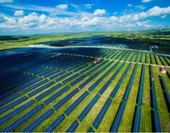 天合、晶澳、亿晶光电入围2021年胜利油田新能源<em>太阳能光伏组件</em>采购