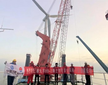 72千米！我国在建离岸距离最远海上<em>风场项目</em>首台风机完成吊装！