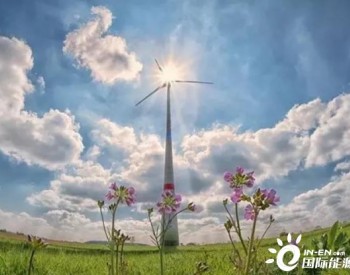 由于风力发电的增加 中国对<em>全球可再生能源</em>发展贡献显著