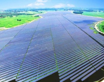 拟拨付100万美元！以色列政府用以推动农业光伏的发展