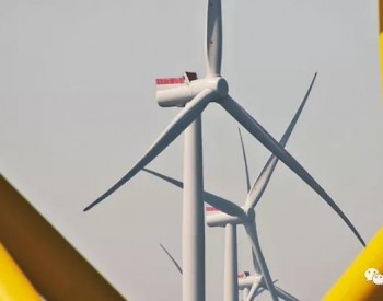 重磅！这家<em>风电整机商</em>中标超200台14MW+海上风电项目