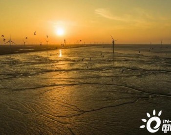 這個風電裝機增速全國第一的省區，開始大舉進軍海上風電