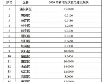 上海启动2021年<em>光伏发电建设</em>目标及实施方案报送工作