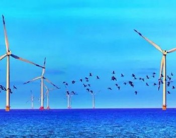 海上<em>风电场噪声</em>对海洋环境的影响
