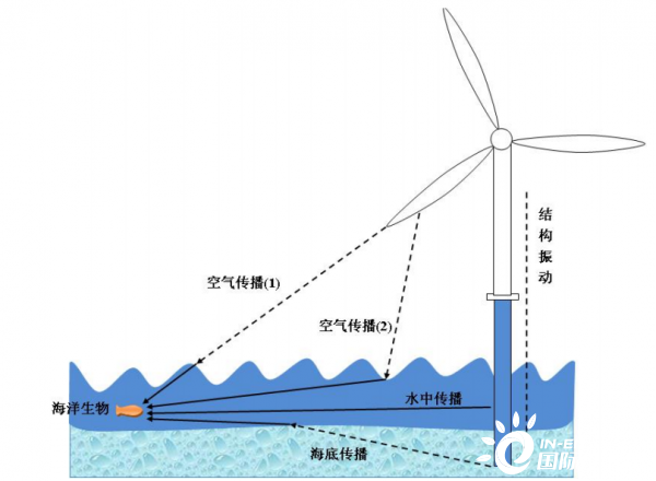 海上风电场噪声对海洋环境的影响