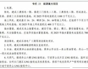 “十四五”期间，浙江省这么<em>发展核电</em>！