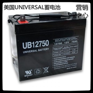 美国UNIVERSAL蓄电池UB12650/12V65AH