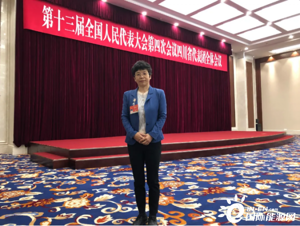 全国人大代表赵萍:"碳中和"战略下,能源装备行业适应能力待提高【两会