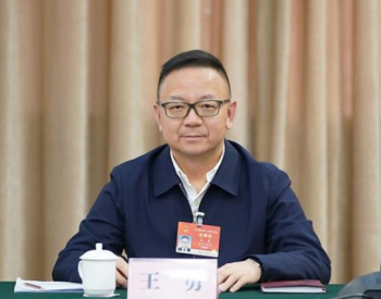 王勇代表：推动页岩气、<em>煤层气开采</em>开发迈上新台阶【两会声音】