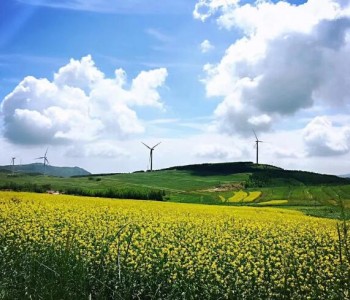 <em>三峡新能源</em>启动风机专项备品集中采购！范围涉及18个省份，39个以上风电场！