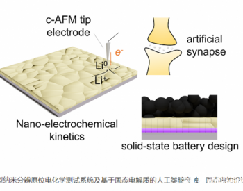 <em>深圳先进院</em>固态电池及类脑人工突触研究获进展
