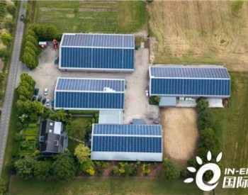 <em>太阳能科技公司</em>隆基落子荷兰，分销业务两年增长10倍