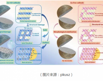 中<em>美研</em>究人员探讨钴在电池中起到的作用 以开发更有效的无钴正极