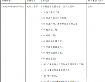 招标 | 金沙江上游<em>拉哇水电站</em>泄洪系统工程施工招标公告