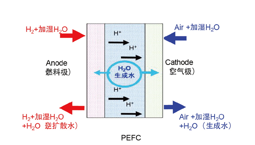 PEFC燃料电池水平衡测试系统.png