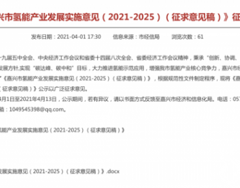 浙江嘉<em>兴发</em>布氢能产业发展实施意见（2021-2025）（征求意见稿）！