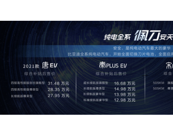 比亚迪宣布纯电全系搭载刀片电池！
