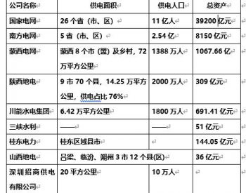 国家电网、南方电网之外的<em>15家</em>地方电网