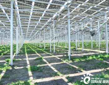 光伏+农业，安泰新能源支架系统助力引领农业发展新模式