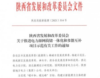 陕西省发展和改革委员会关于推进<em>电力源网荷储</em>一体化和多能互补项目示范有关工作的通知