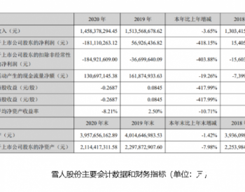 <em>雪人股份</em>去年营收14.58亿 拟定增募资不超6.7亿加码氢能业务布局