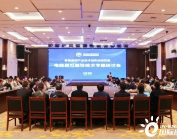 <em>林洋能源</em>承办中国智能量测产业技术创新战略联盟技术研讨会