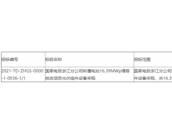 招标 | 国家电投浙江分公司所属电站16.39MWp<em>增容技改</em>项目光伏组件采购招标