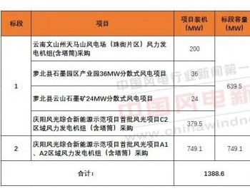 中标丨重磅！华能1388.6MW风电项目开标，11家整机商竞标！（附报价）