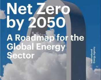 <em>IEA</em>预测：2050年全球实现净零排放需要多少亿吨氢气？