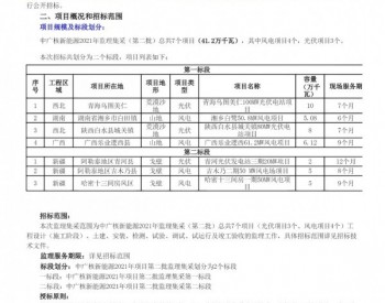 招标丨<em>中广核新能源</em>2021年项目第二批监理集采第一标段招标