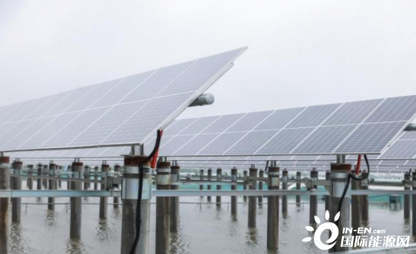 “渔光储”在江苏常州并网投运 全电数字化打造“零碳渔场”