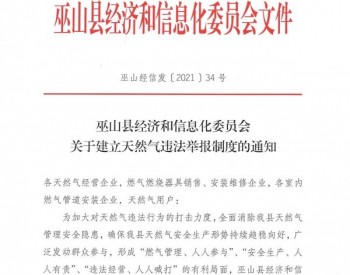 ​重庆市<em>巫山县</em>经信委关于建立天然气管理举报制度的通知