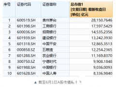 宁德时代：万亿市值下的转身