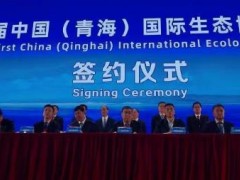青海签署5GW牧光风储<em>电站投资</em>合作框架协议！