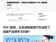 新能源领导者比亚迪：成为混动领域的<em>王者</em>