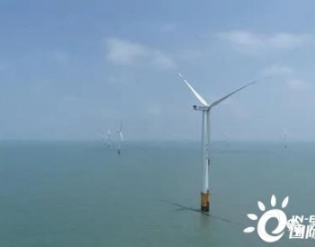 江苏如东800MW海上风电项目迎重大进展