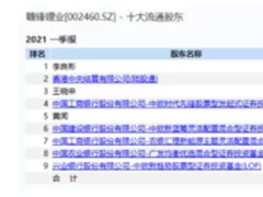 赣锋锂业，基金风格的试金石