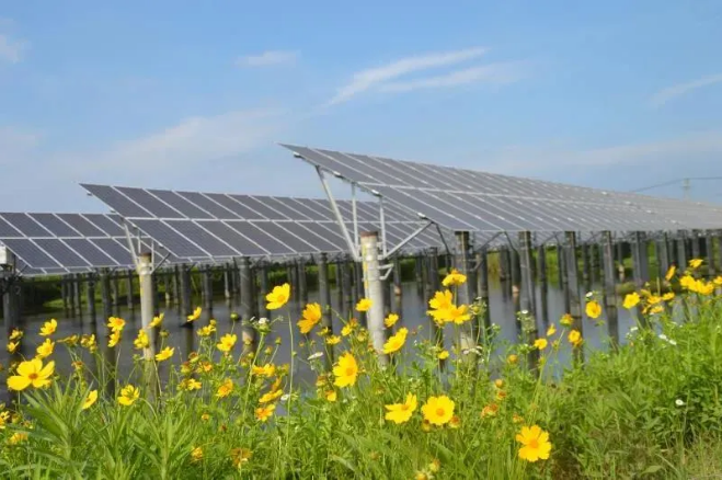 火,核,水,风,光 5种发电形式差异!10年内我国能源结构变化数据!