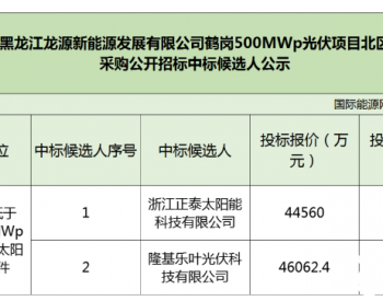 中标 | 1.78元/W、1.84元/W！正泰、隆基预中标龙源电力<em>鹤岗</em>500MW光伏项目